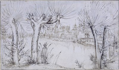 Pond before a Town by Augustin Hirschvogel
